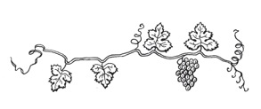Cepa